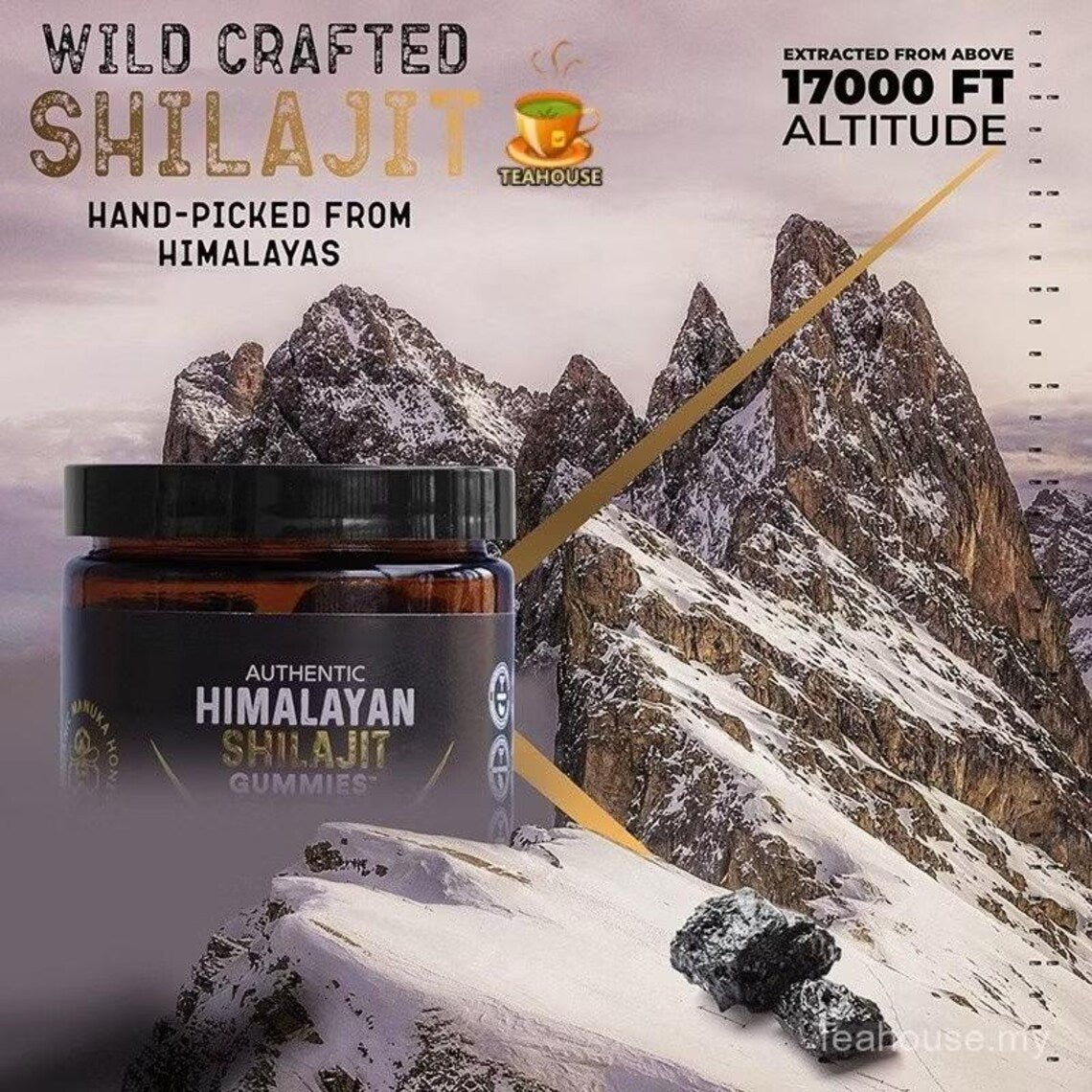 Himalayan Shilajit Gummies – 35 Gummies | Natural Vitality & Energy Booster