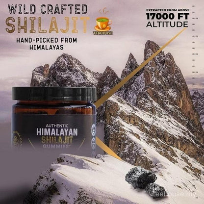 Himalayan Shilajit Gummies