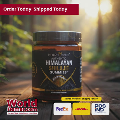 Himalayan Shilajit Gummies